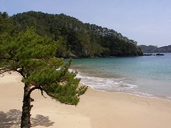十八鳴浜