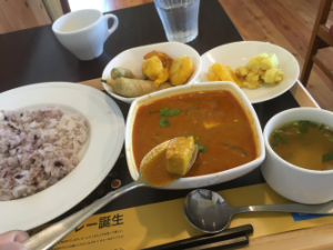 スパイシーメカカレー