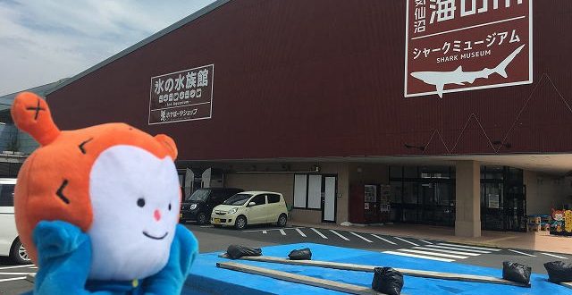 ホヤぼーや　海の市