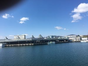 魚市場