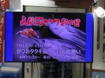 気仙沼かつお祭り　海の市