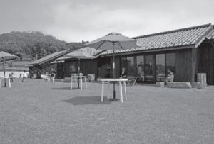 野杜海